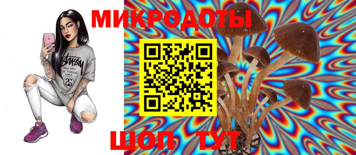 Псилоцибиновые грибы GOLDEN TEACHER Каменск-Шахтинский